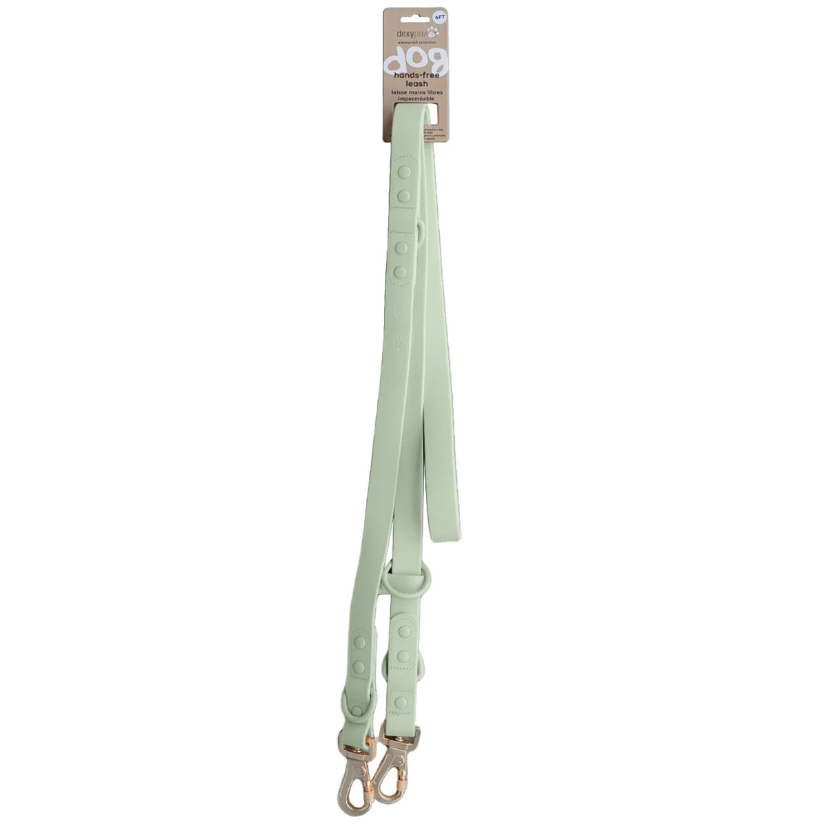 Laisse mains libres imperméable pour chien