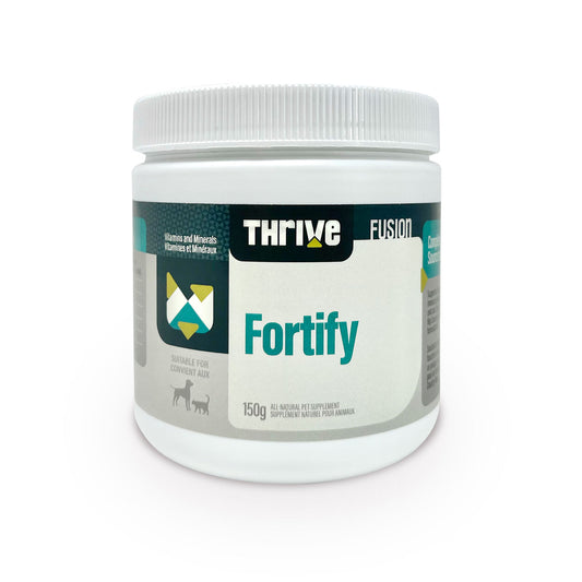 Fortify vitamines et minéraux 150 g - supplément en poudre pour chien et chat