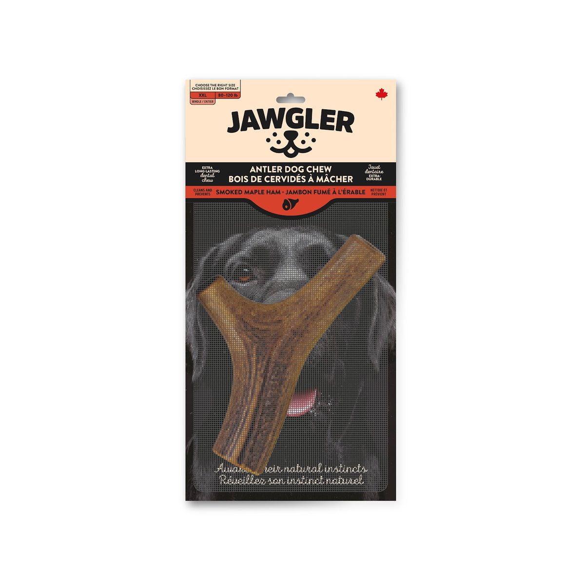 Bois de cervidés à mâcher entier, jambon fumé à l'érable