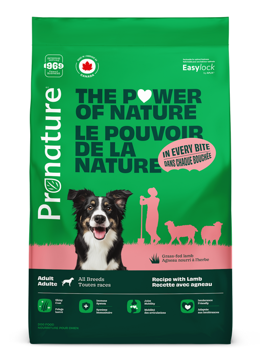 Nourriture pour chien - Adulte - Toutes races - Recette avec agneau