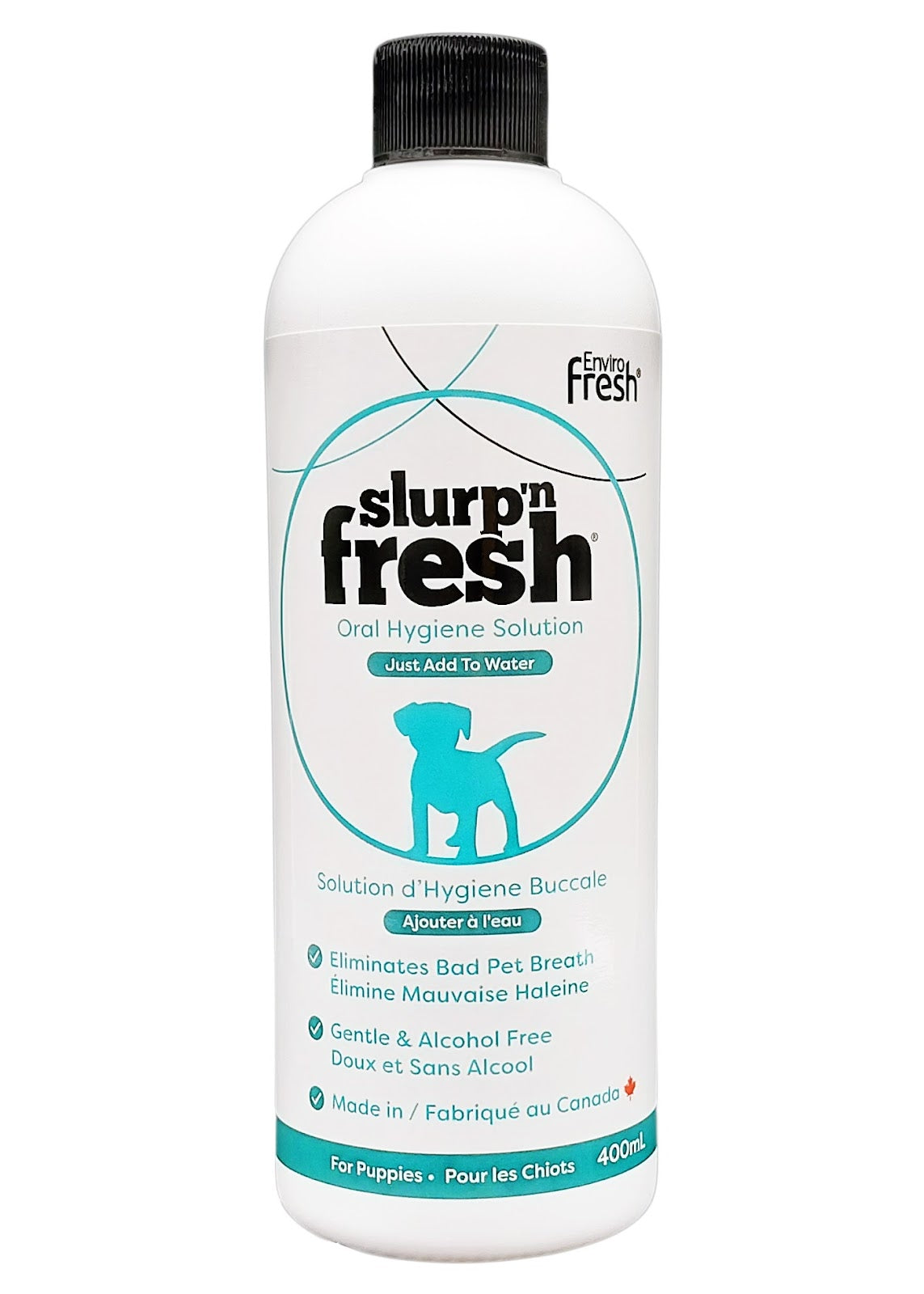 Slurp'n Fresh pour chien