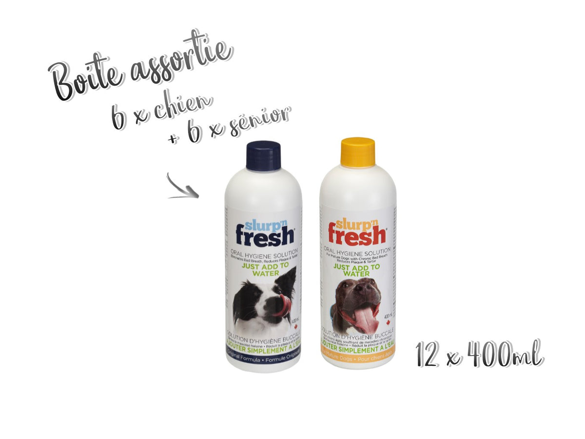 Slurp'n Fresh pour chien