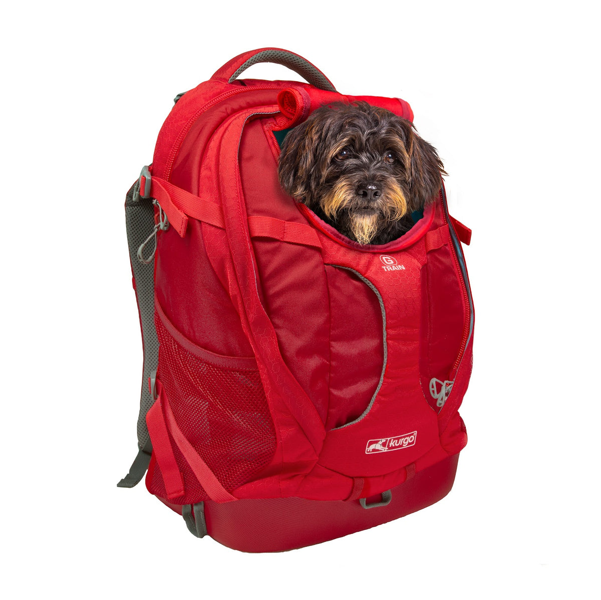 Sac à dos porte-chien G-Train