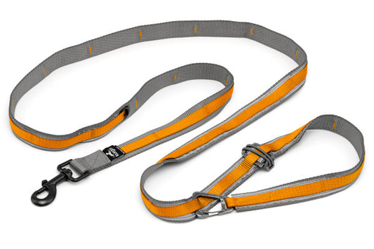 Laisse Quantum 6 en 1 ajustable 48 à 72 po, orange