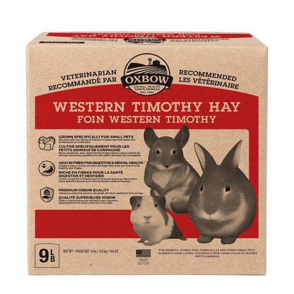 Foin Timothy Occidental
