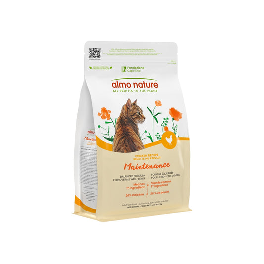 Nourriture sèche maintenance pour chat