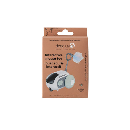 Jouet interactif pour chat, souris, vert sauge