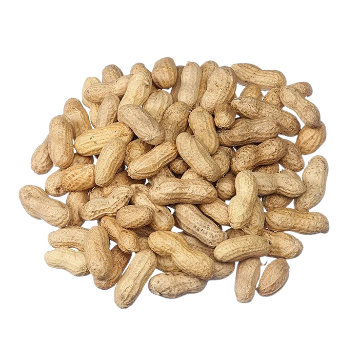Arachides pour oiseaux sauvages