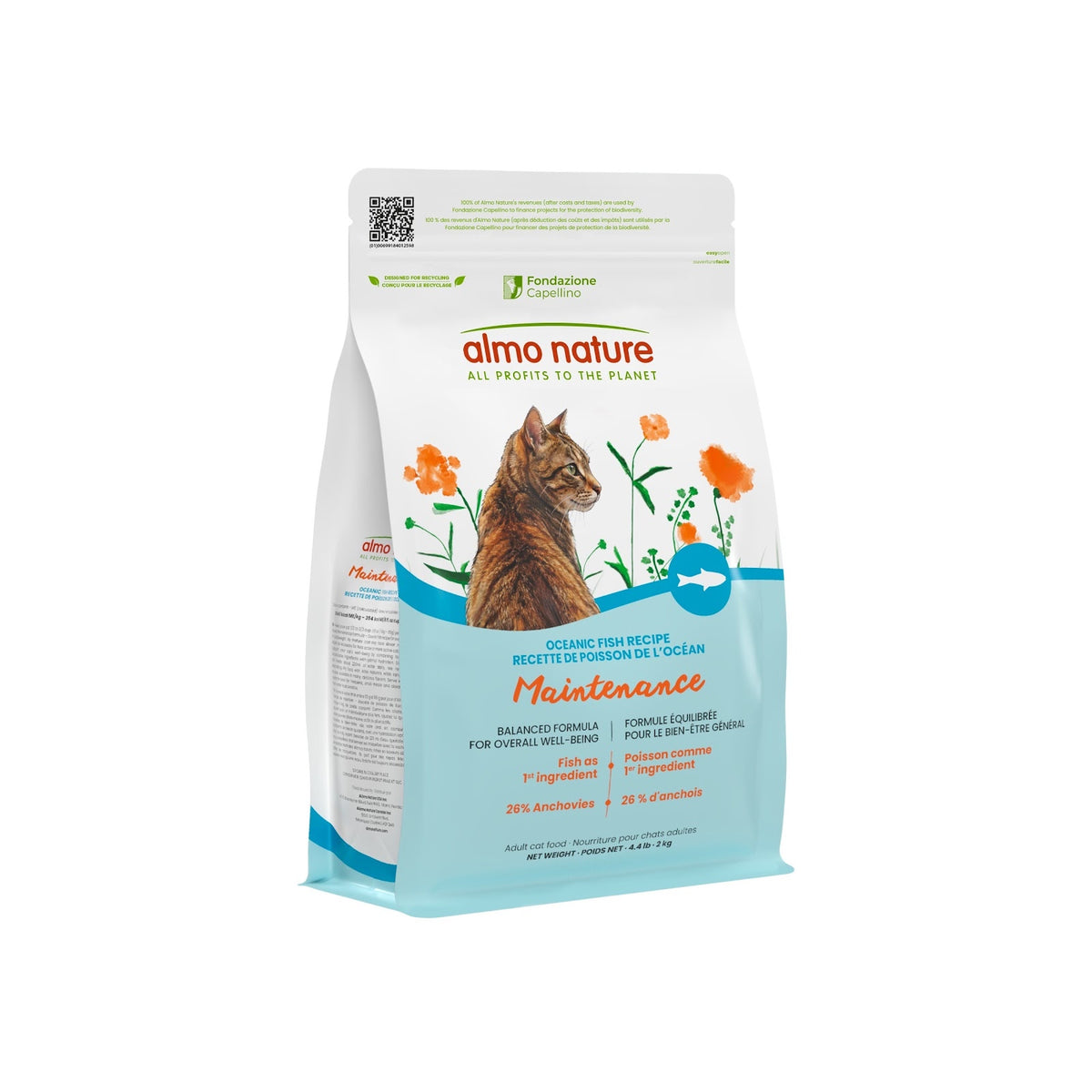 Nourriture sèche maintenance pour chat