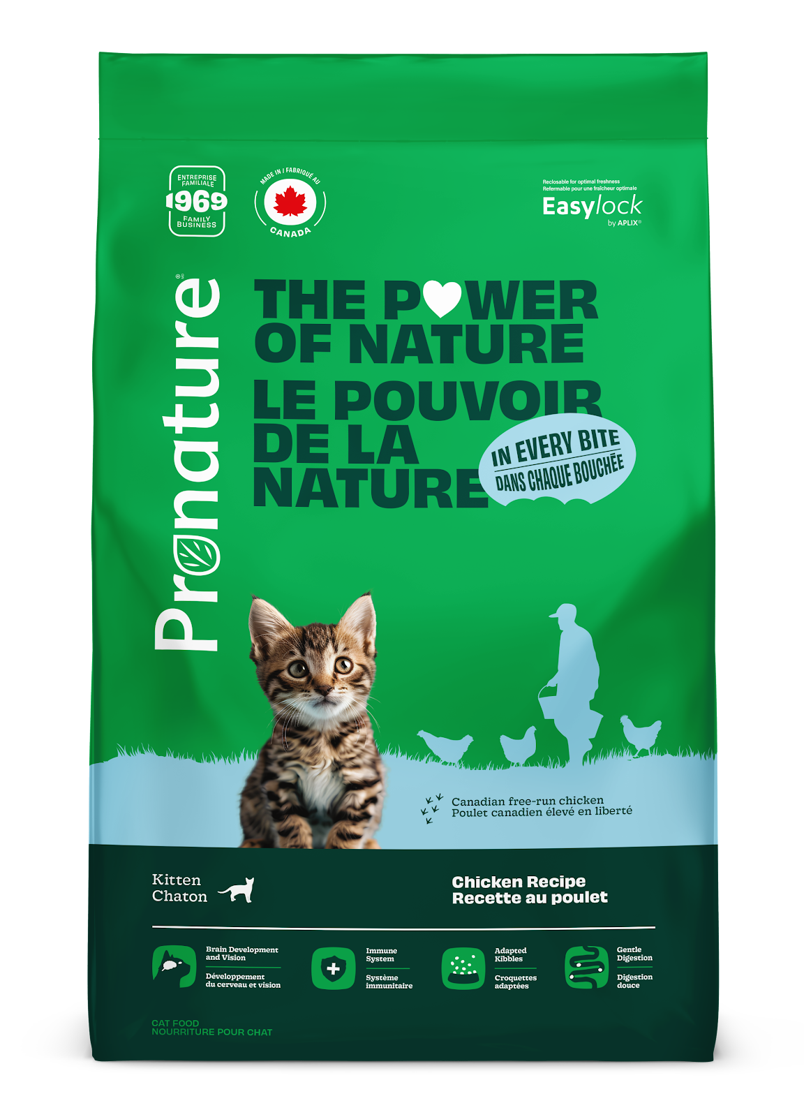 Nourriture pour chaton - Recette au poulet