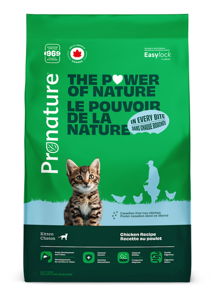 Nourriture pour chaton - Recette au poulet
