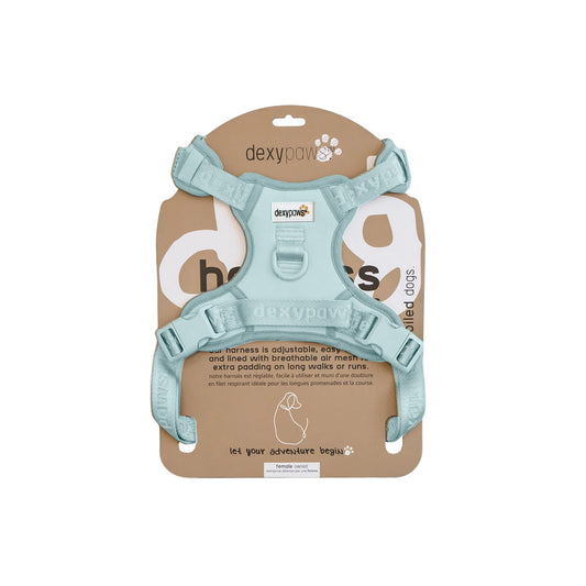 Harnais sans traction pour chien