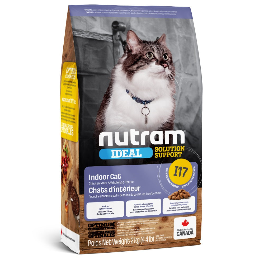 Nourriture sèche Ideal I17 pour chat d'intérieur, poulet et œufs entiers