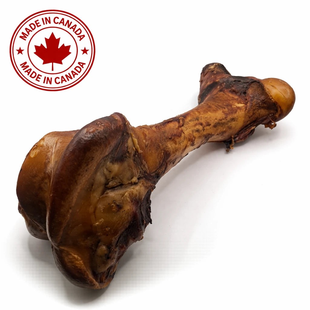 Os dinosaure de bœuf fumé canadien