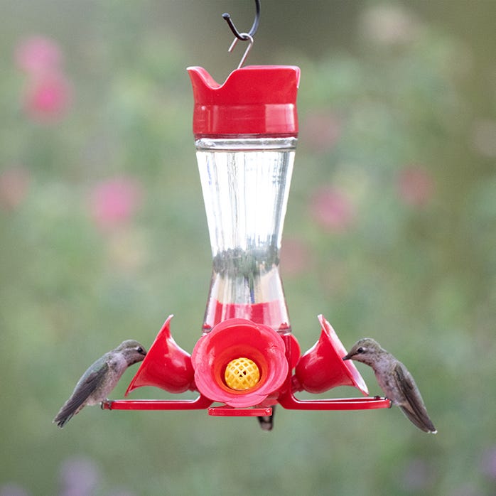 Abreuvoir à colibris en verre 4 fleurs avec perchoirs