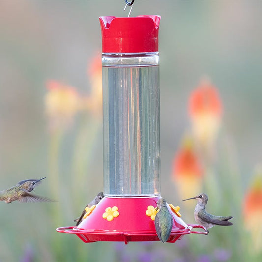 Abreuvoir à colibris en verre grande capacité