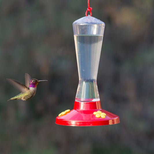 Abreuvoir à colibris en plastique transparent