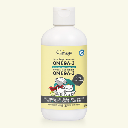 Huile de cameline pour chiens et chats Olimega