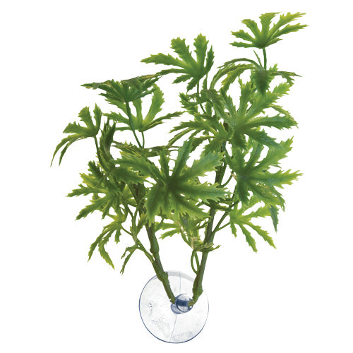 Plante artificielle papaye pour betta