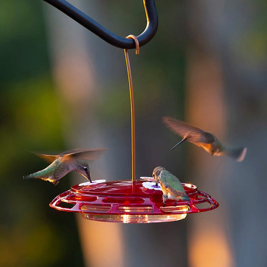 Abreuvoir à colibris 3 en 1