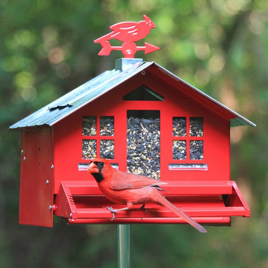 Mangeoire Squirrel-Be-Gone II style campagnard rouge
