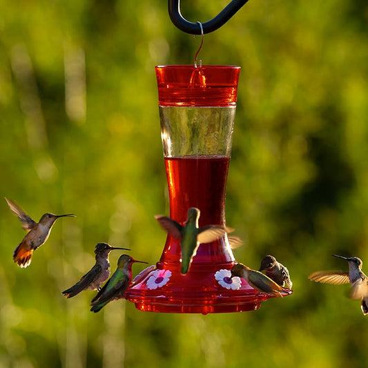 Abreuvoir à colibris Garnet