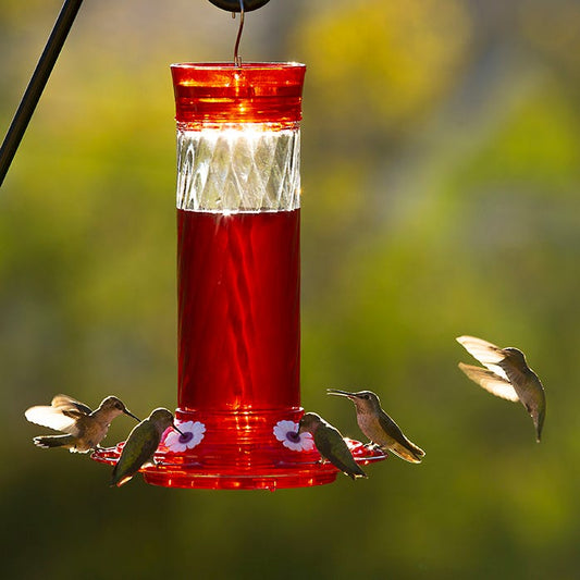 Abreuvoir à colibris Diamond