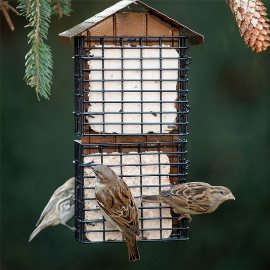 Cage à suif pour quatre pains