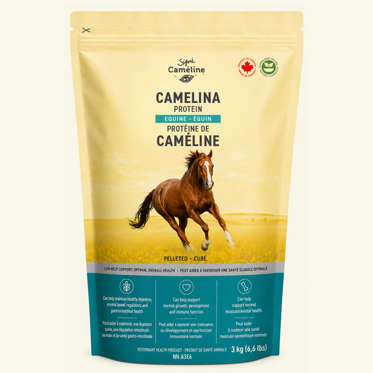 Tourteau de cameline pour chevaux 3 kg