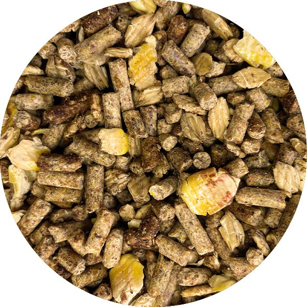 Moulée vache laitière 14 % 25 kg