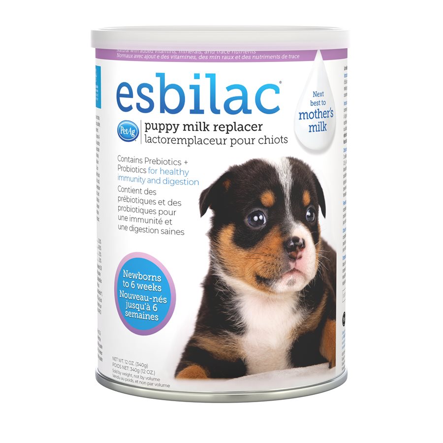 Esbilac lait maternisé en poudre pour chiots - supplément pour chien