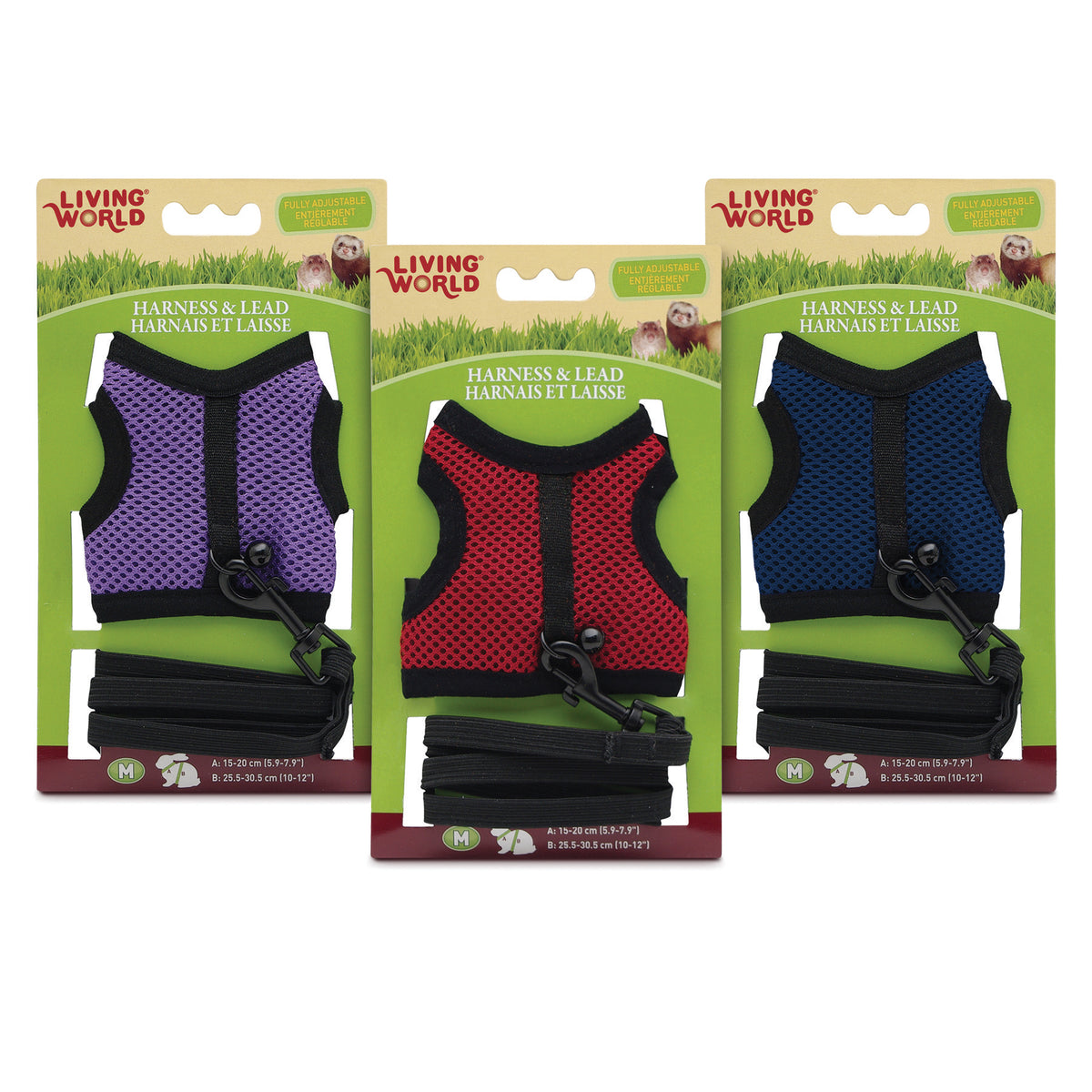 Ensemble harnais et laisse pour petits animaux, couleurs assorties