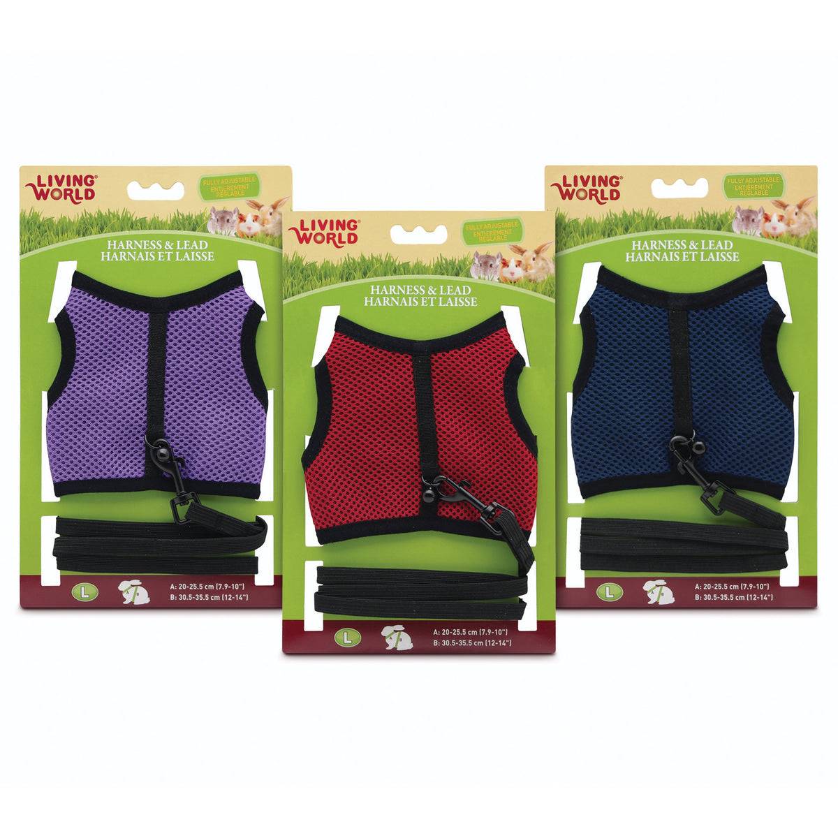 Ensemble harnais et laisse pour petits animaux, couleurs assorties