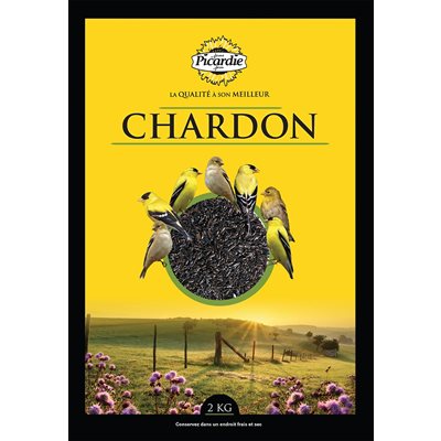 Graines de chardon (nyjer) Picardie