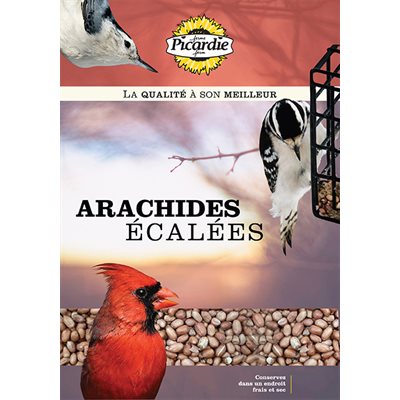 Arachides écalées Picardie
