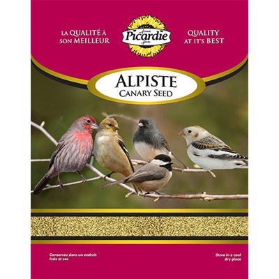 Graines d'alpiste Picardie