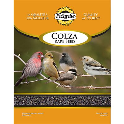 Graines de colza 2 kg