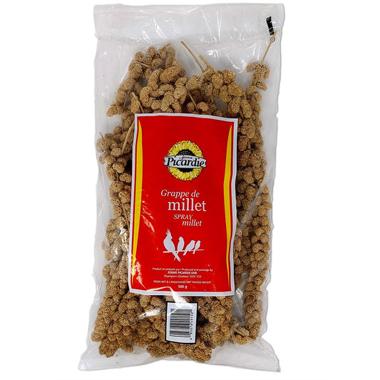 Millet en branche Picardie