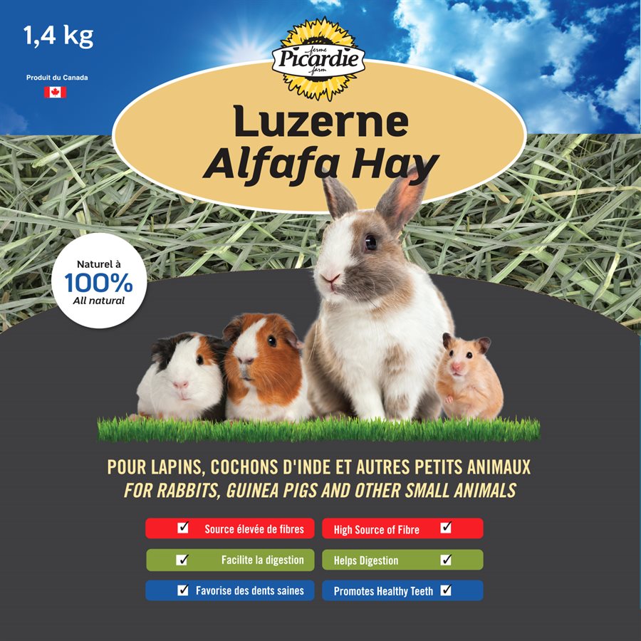 Foin de luzerne Picardie