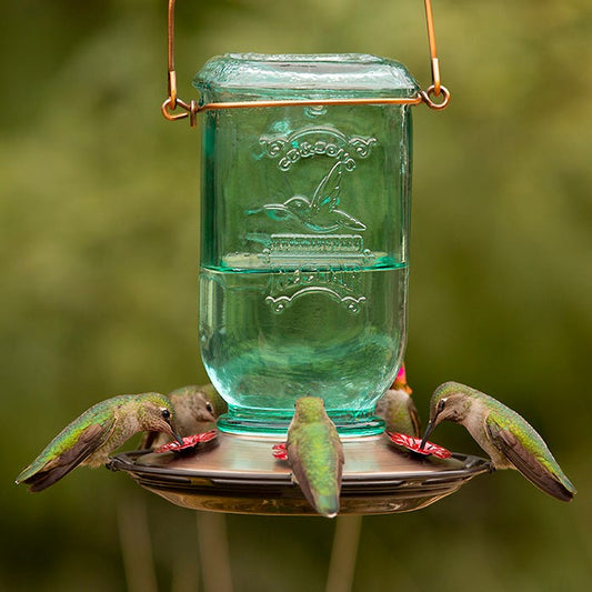 Abreuvoir à colibris Mason Jar