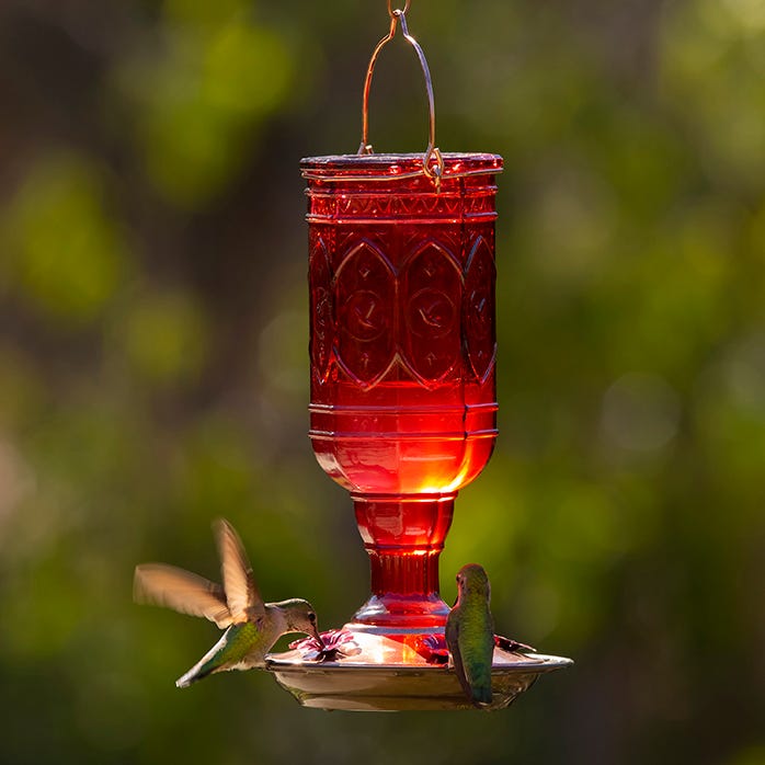 Abreuvoir à colibris Joyaux rouge