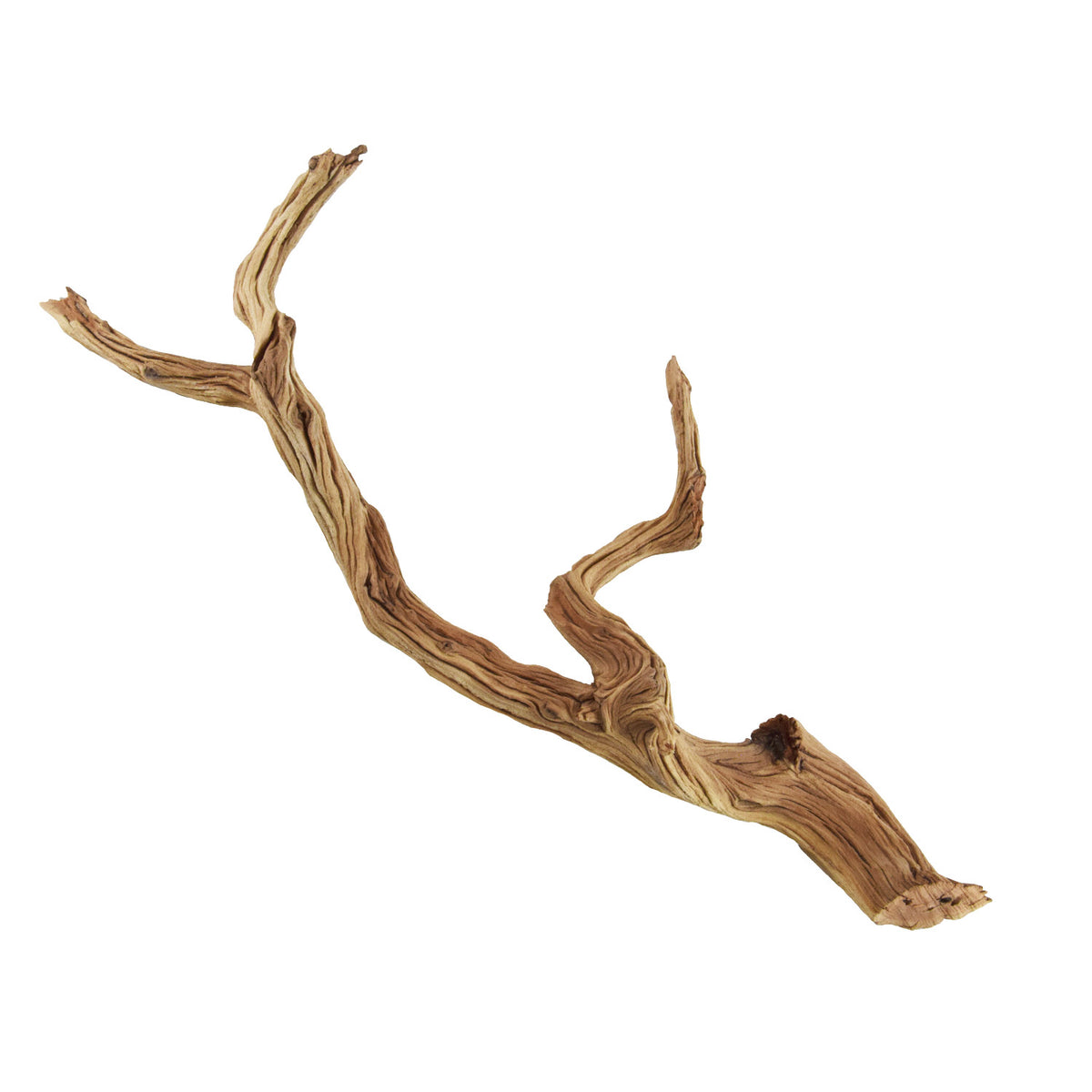 Bois Ghostwood pour aquarium - Underwater Treasures