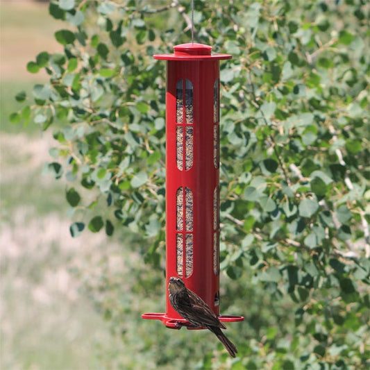 Mangeoire Squirrel X8