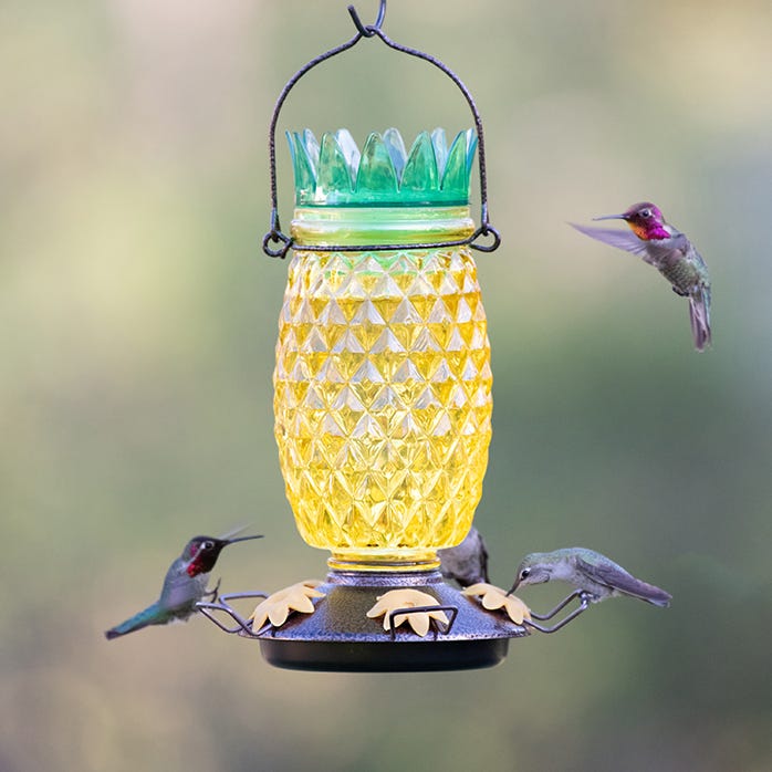 Abreuvoir à colibris en verre à remplissage par le haut Ananas