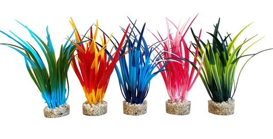 Plante décorative papyrus moyenne 10 cm - décoration d'aquarium