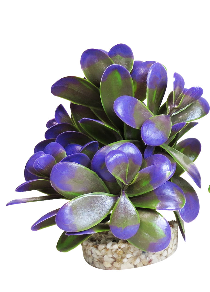 Plante décorative à galets 12 cm - décoration d'aquarium