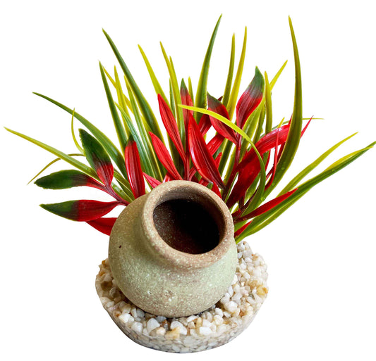 Plante décorative mini-cruche 15 cm - décoration d'aquarium