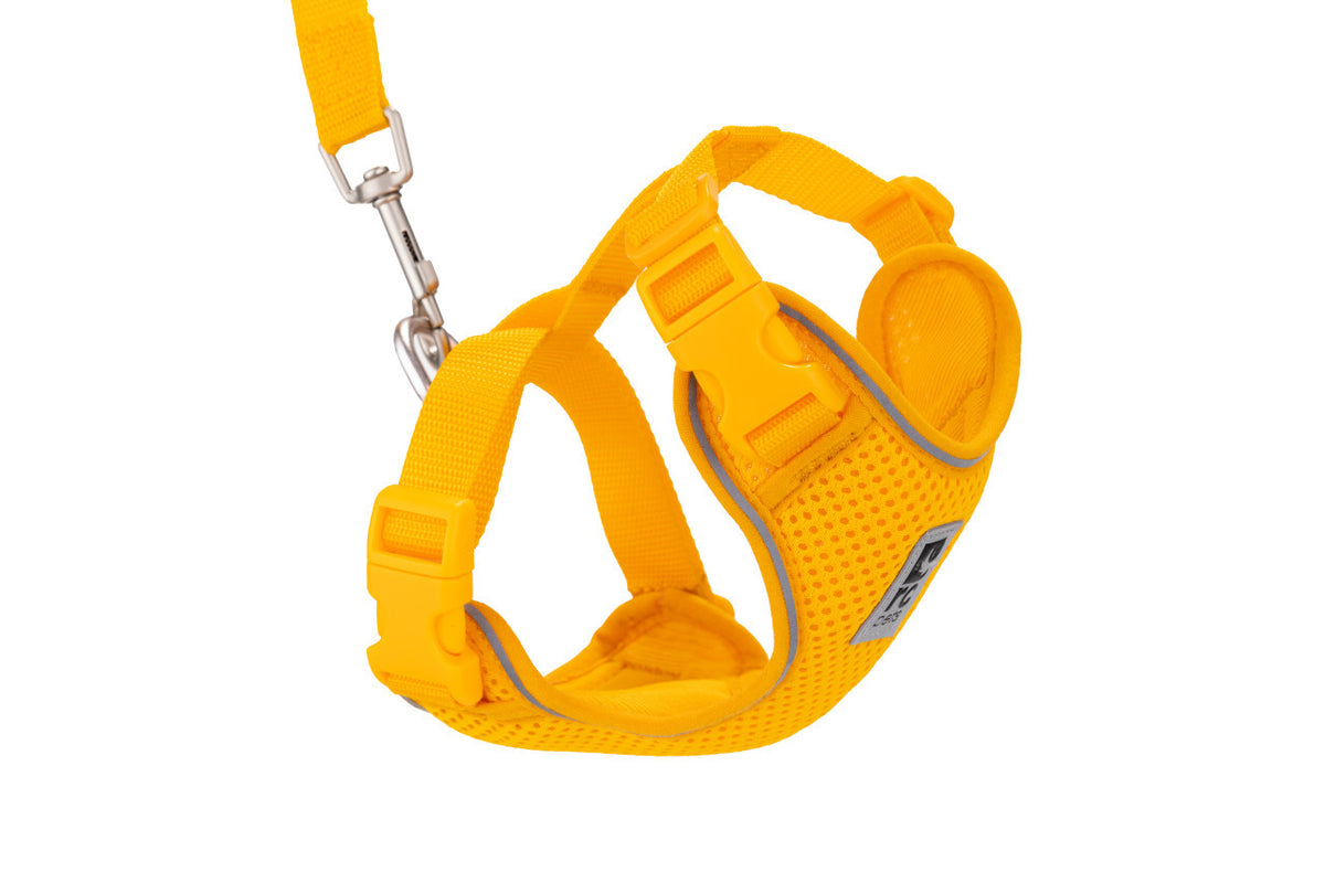Harnais aventure pour chat - RC Pets