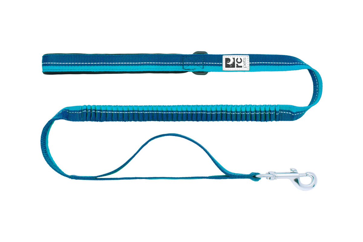 Laisse élastique pour chien - RC Pets
