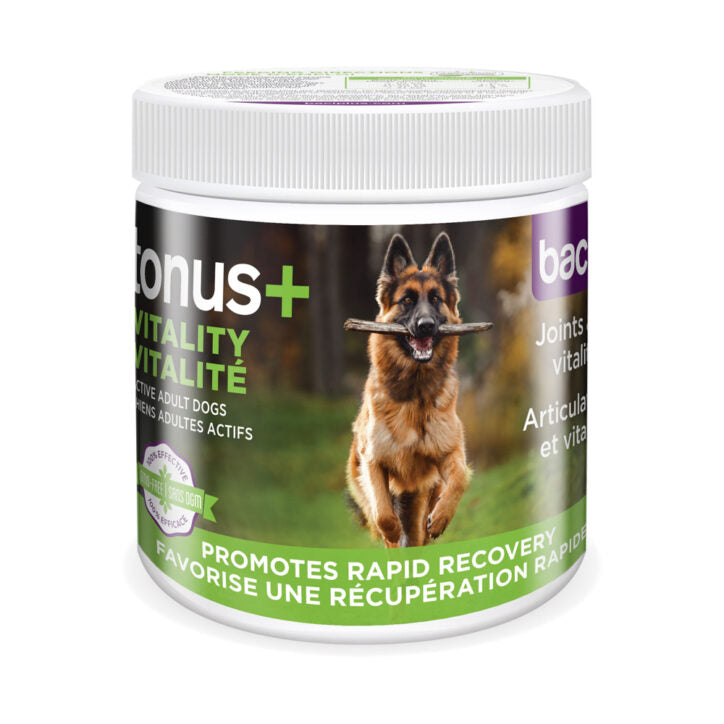 Tonus+ vitalité pour chien